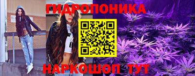 крисы Краснодар