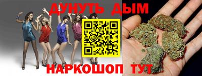крисы Краснодар