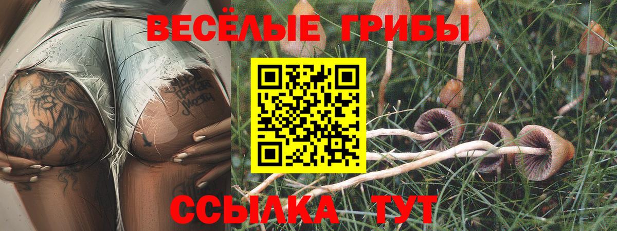 Псилоцибиновые грибы GOLDEN TEACHER  Вход с VPN  Камышлов 